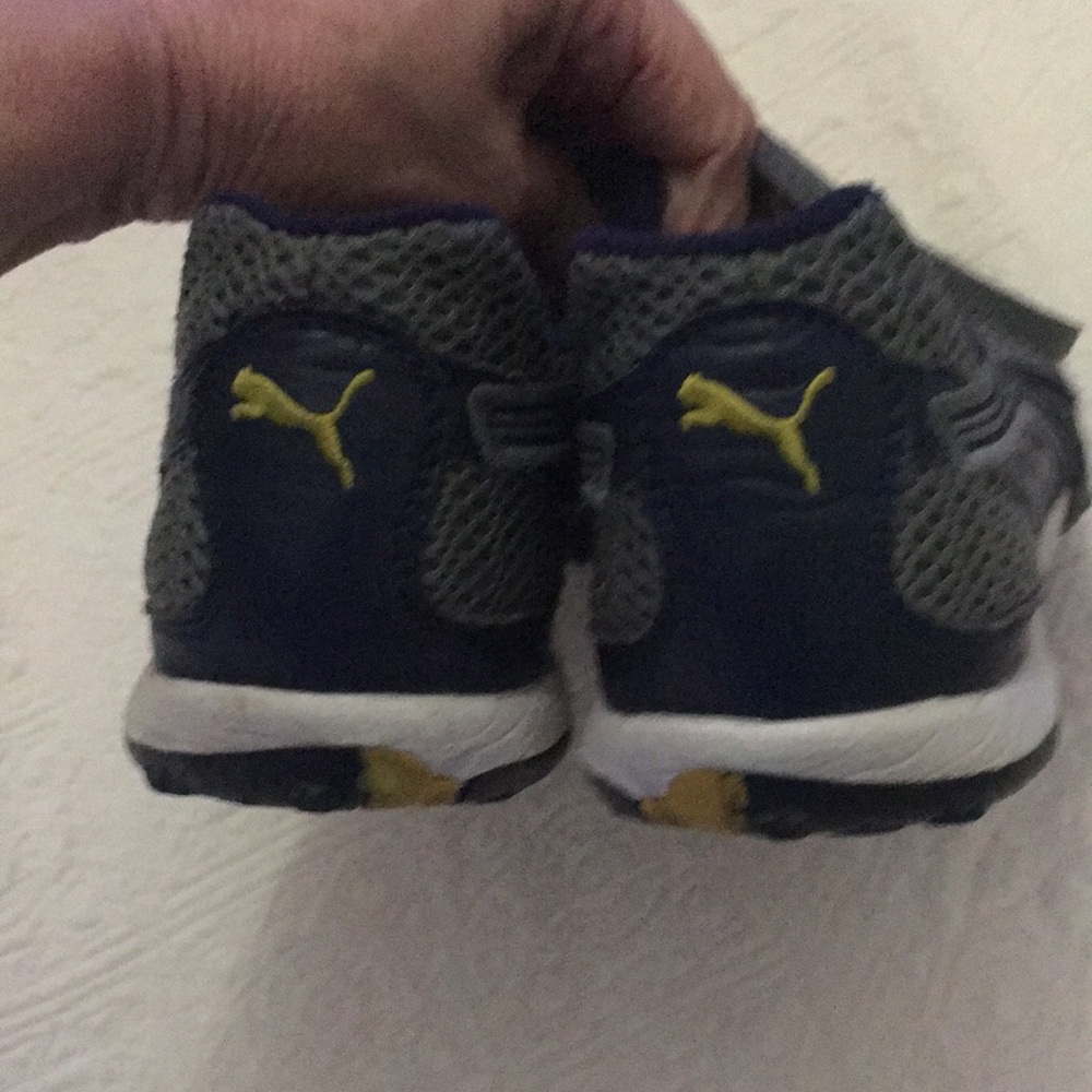 Pumas - Picture 6 of 7